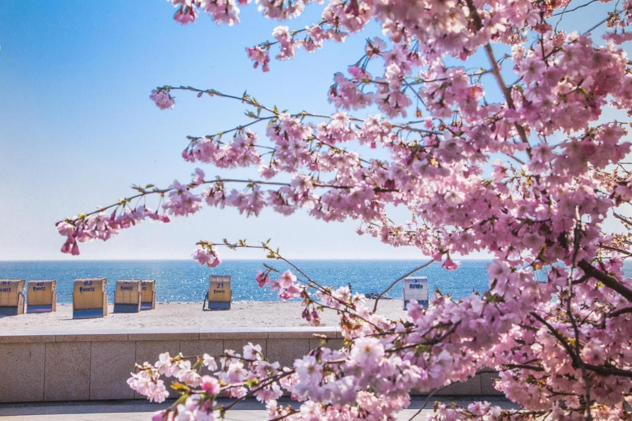 Strandhaus Ruegen - Meerblick, Sauna, Kamin & Whirlpool Baabe Dış mekan fotoğraf